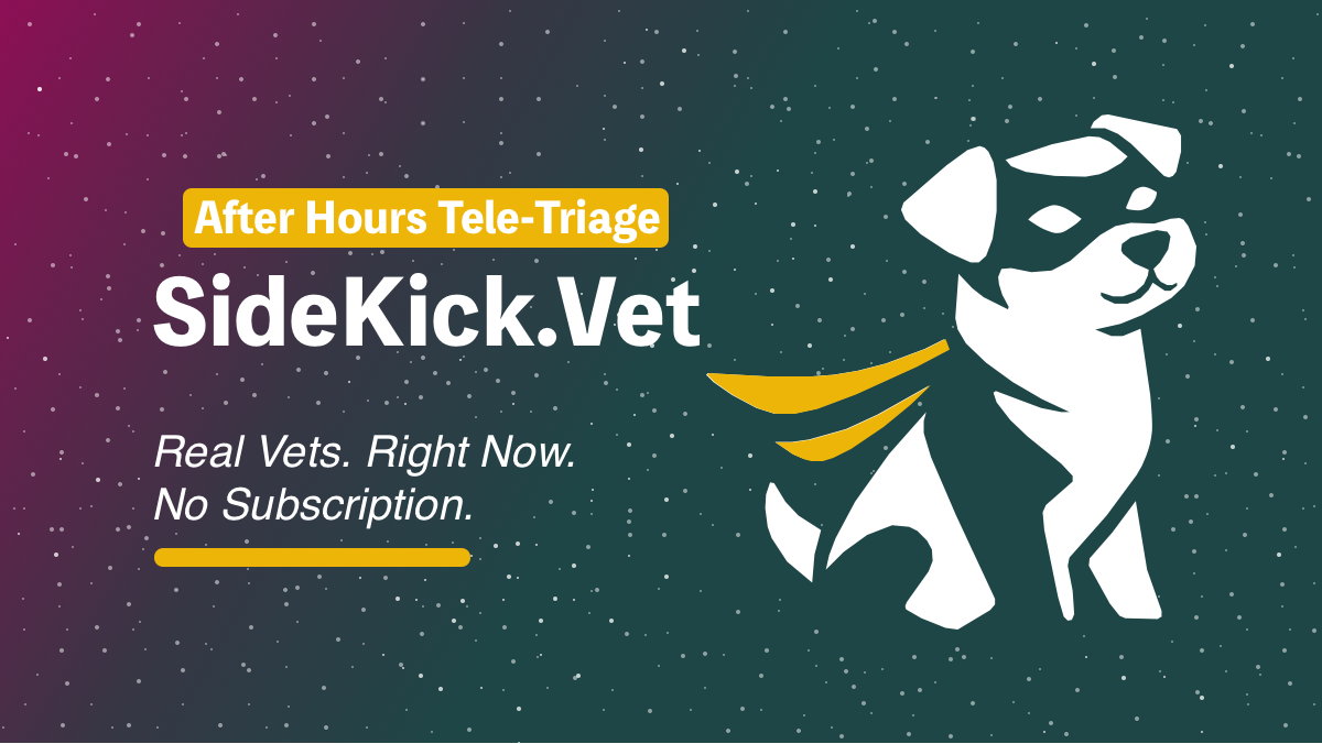 Sidekick Vet — Talk to a licensed vet in minutes
